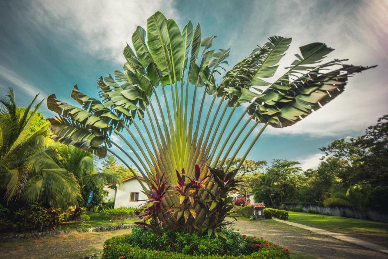 Hotel Santa Catalina Panama Екстериор снимка